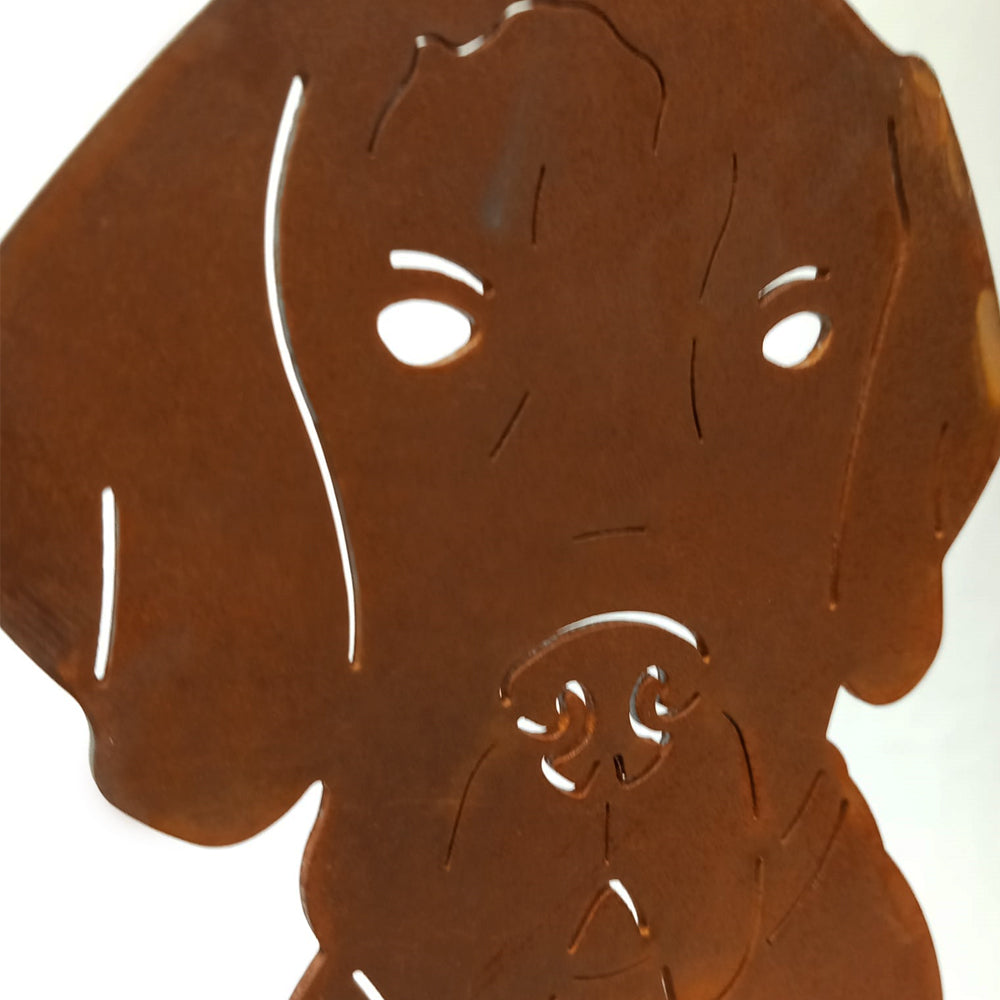 Cane da caccia