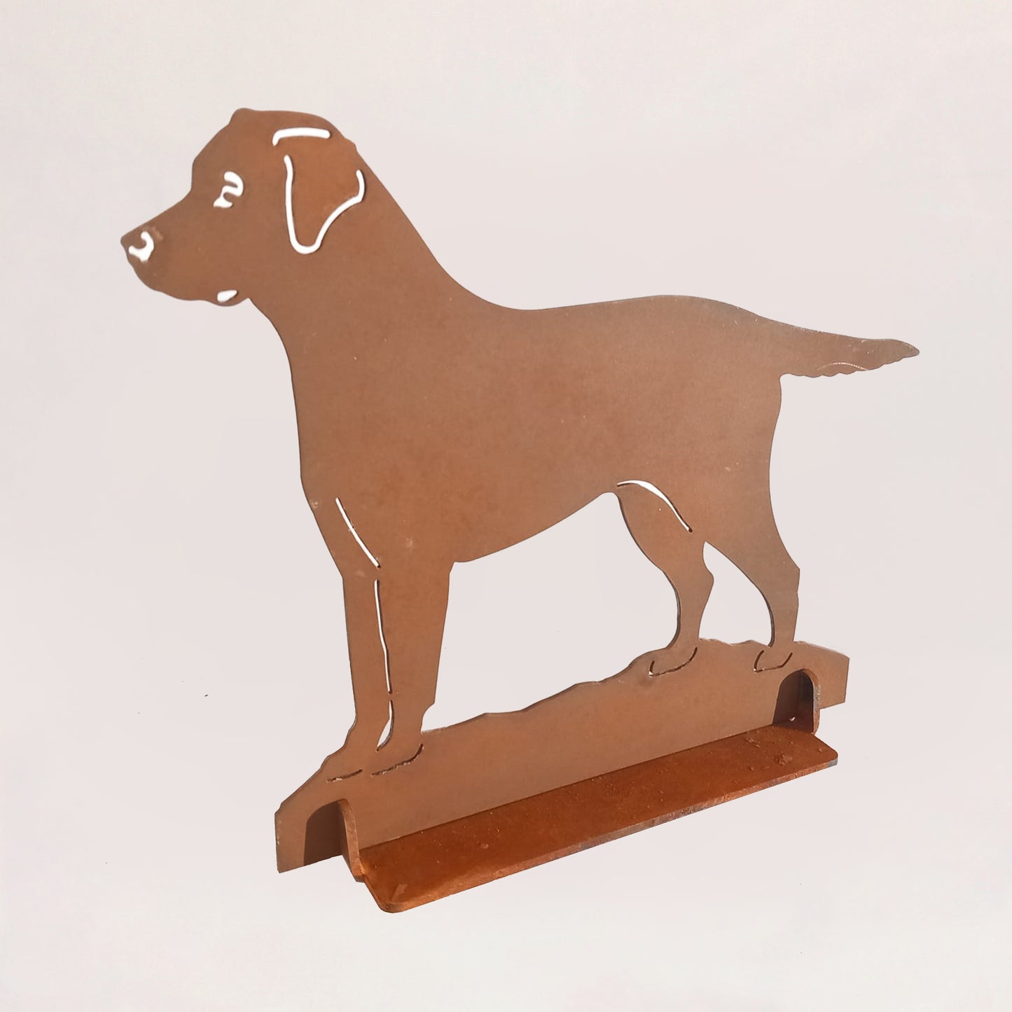 Cane 1 labrador