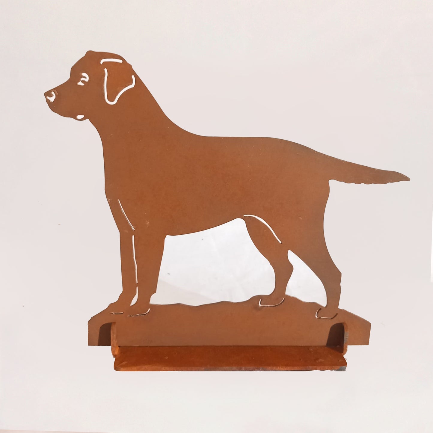 Cane 1 labrador