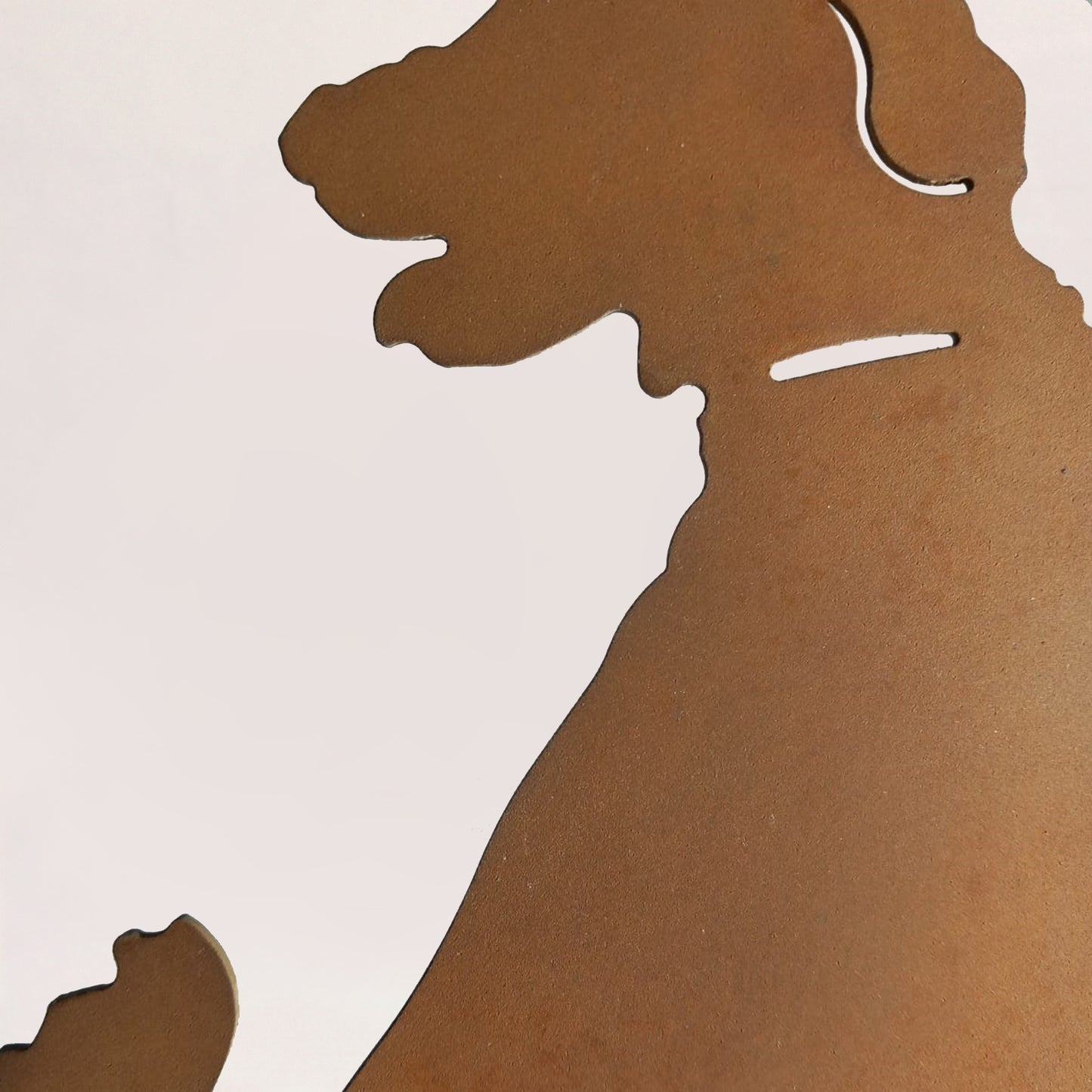 Cane 3 golden retriever