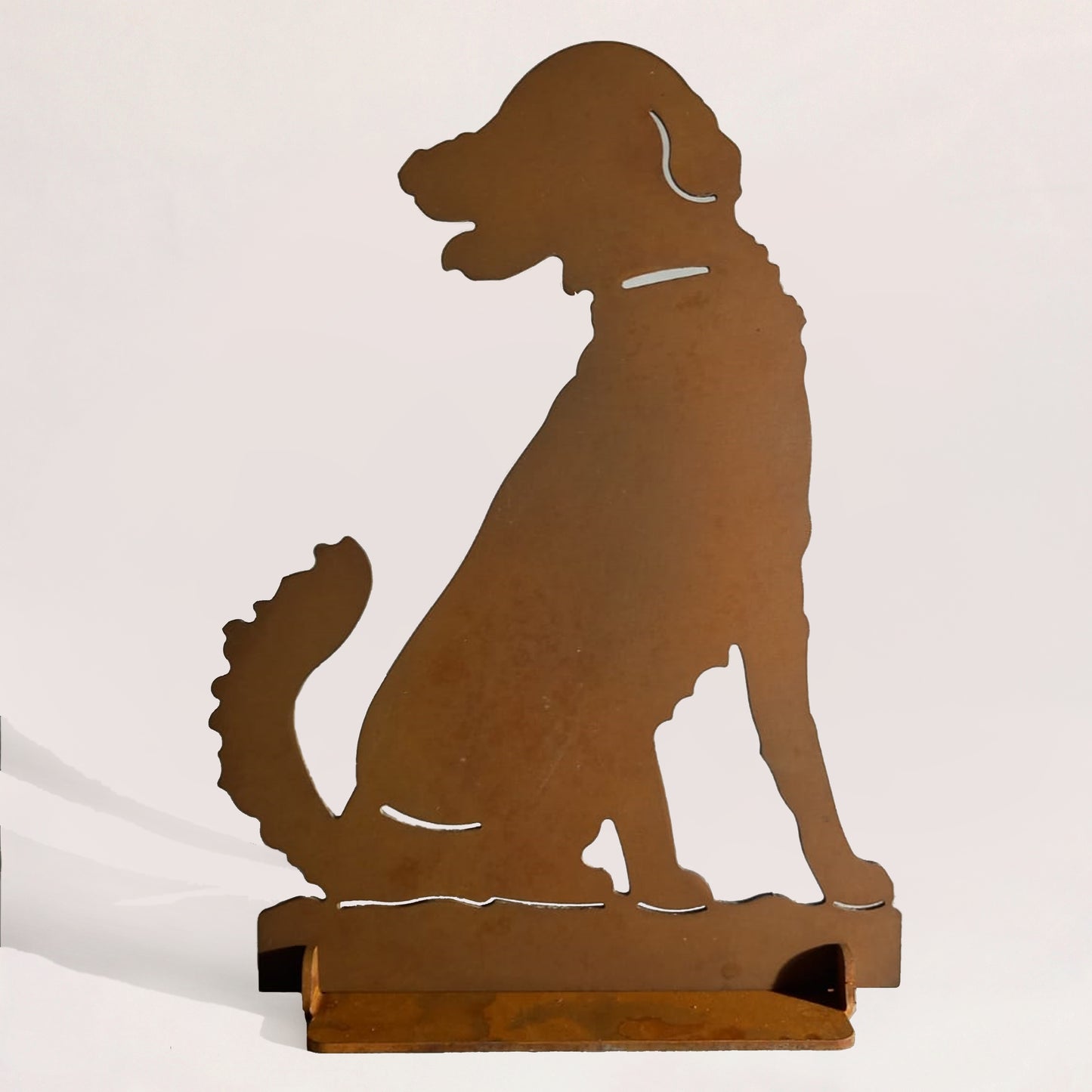 Cane 3 golden retriever