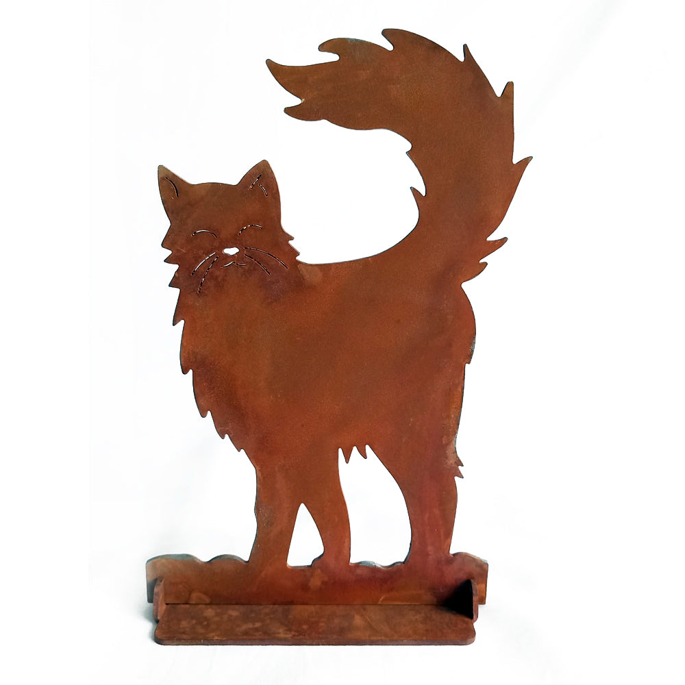 Gatto