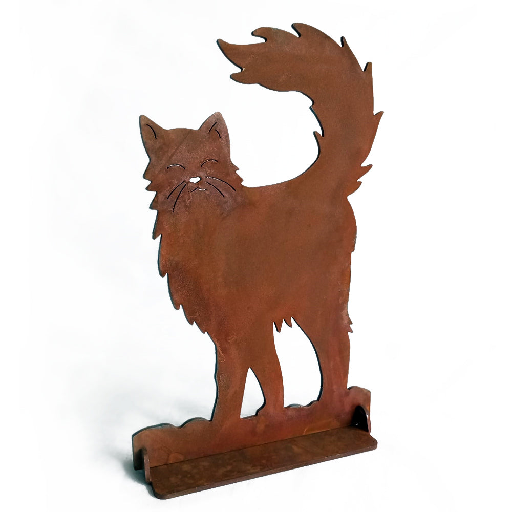Gatto