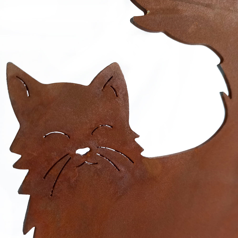 Gatto