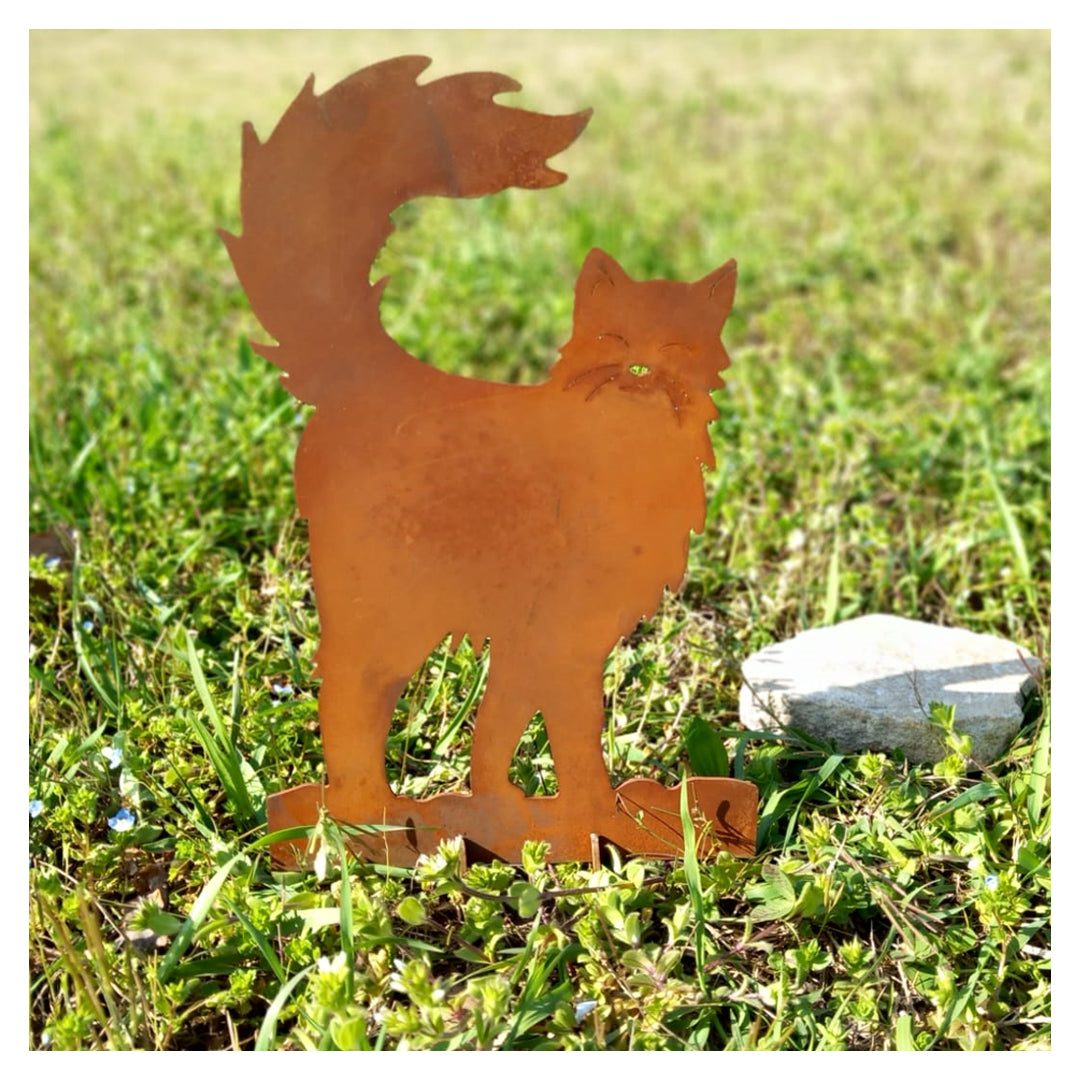 Gatto