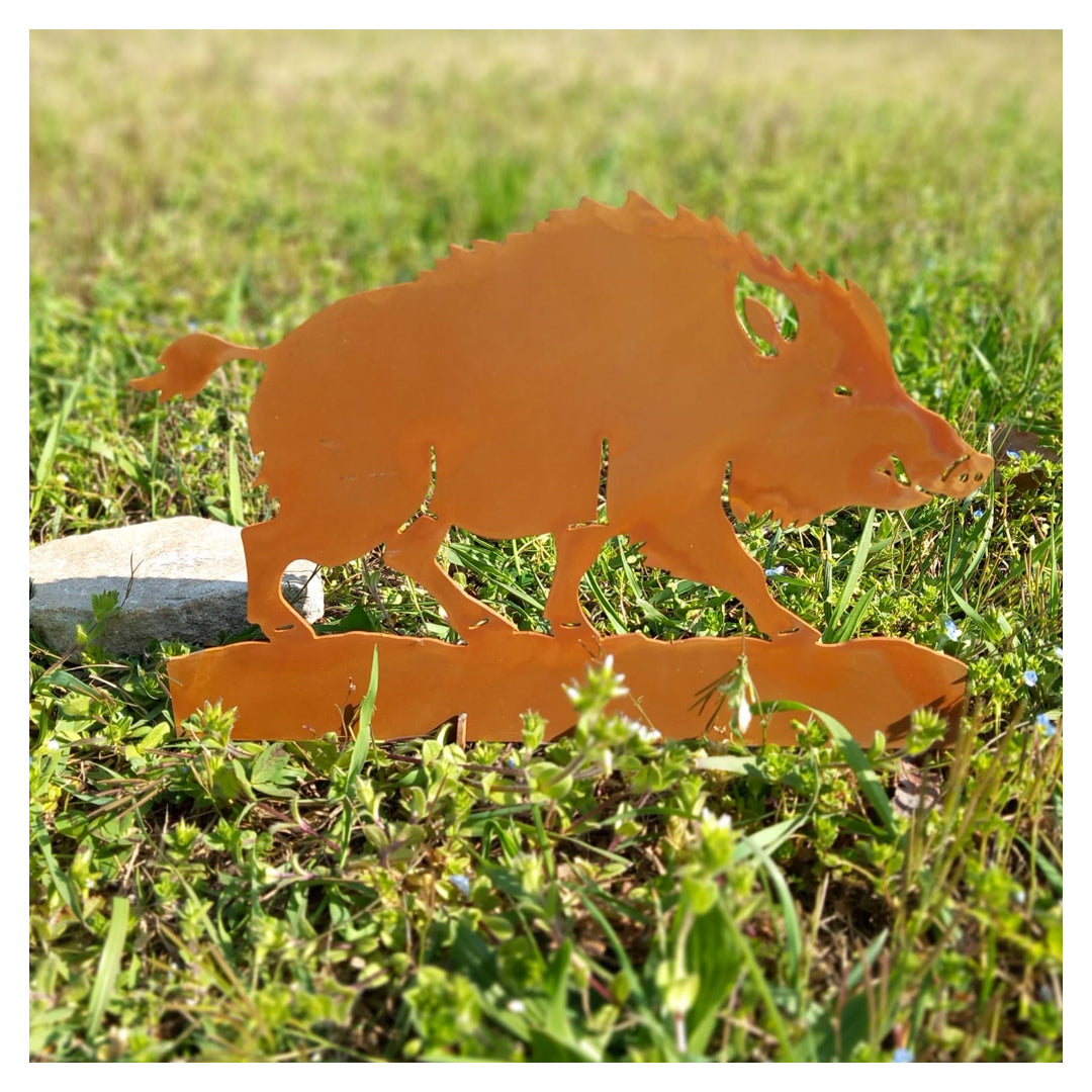 Cinghiale